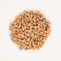 Acidulated malt