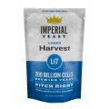 Imperial Yeast L17 Harvest